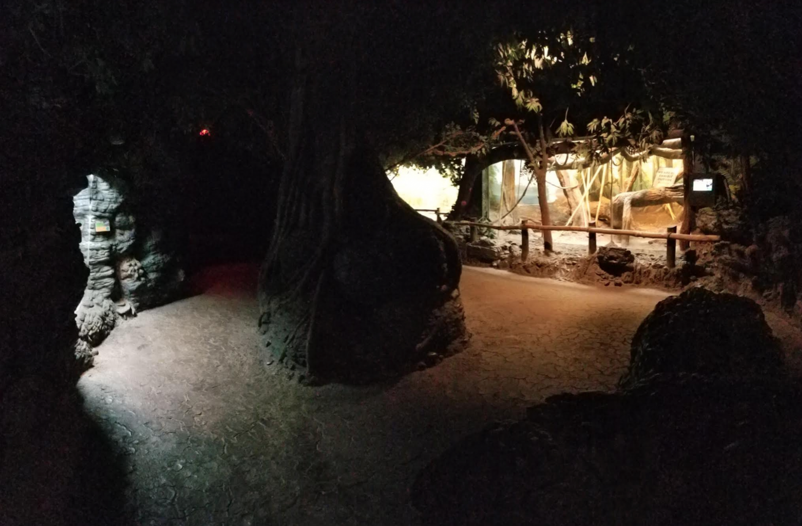 Dec. 2017 - Jungle Trails - African Animals Building