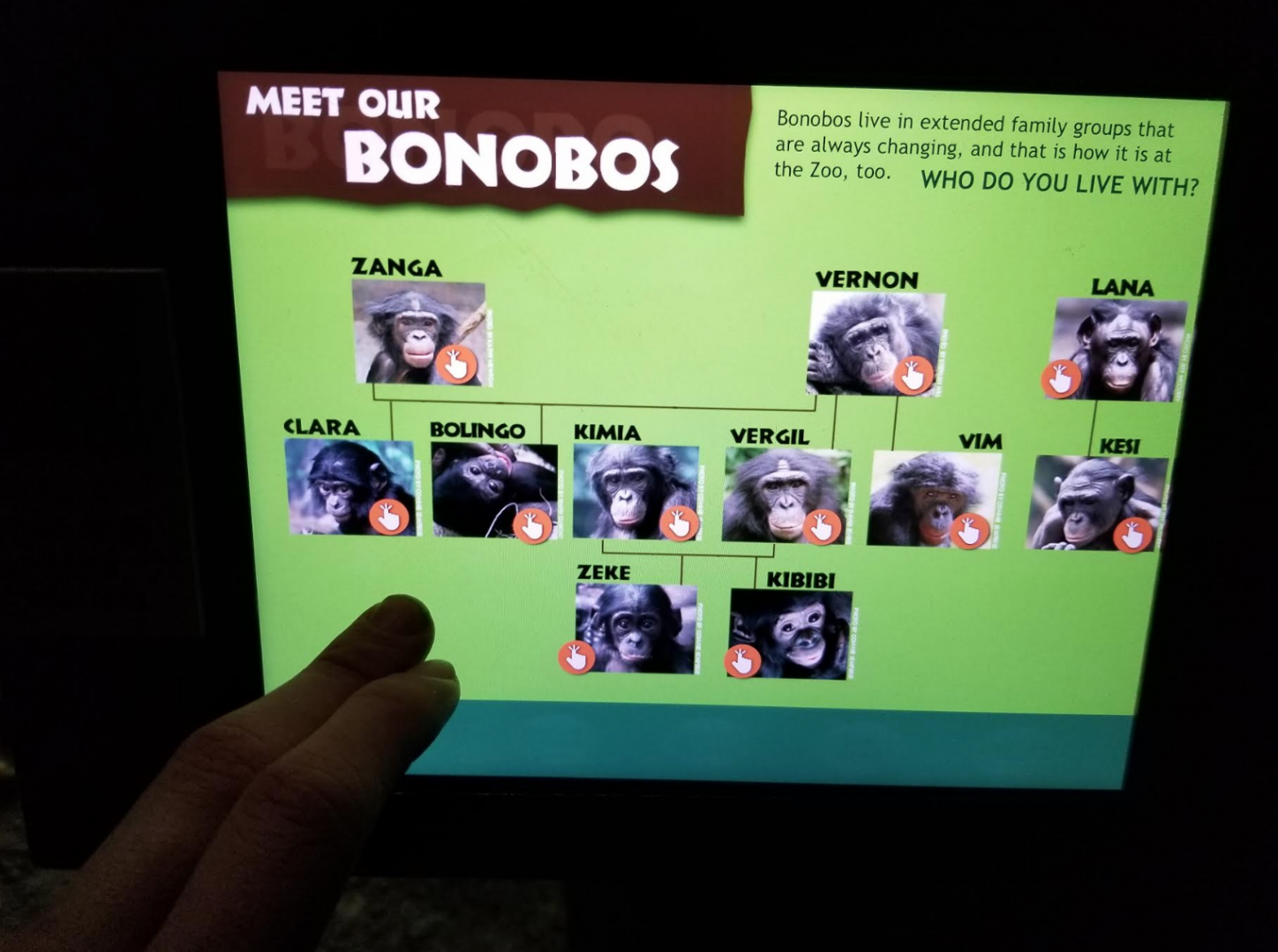 Dec. 2017 - Jungle Trails - Meet the Bonobos iPad