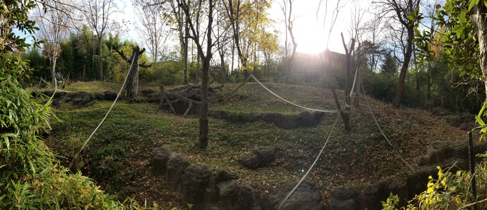 Dec. 2017 - Jungle Trails - Orangutan Exhibit Panorama