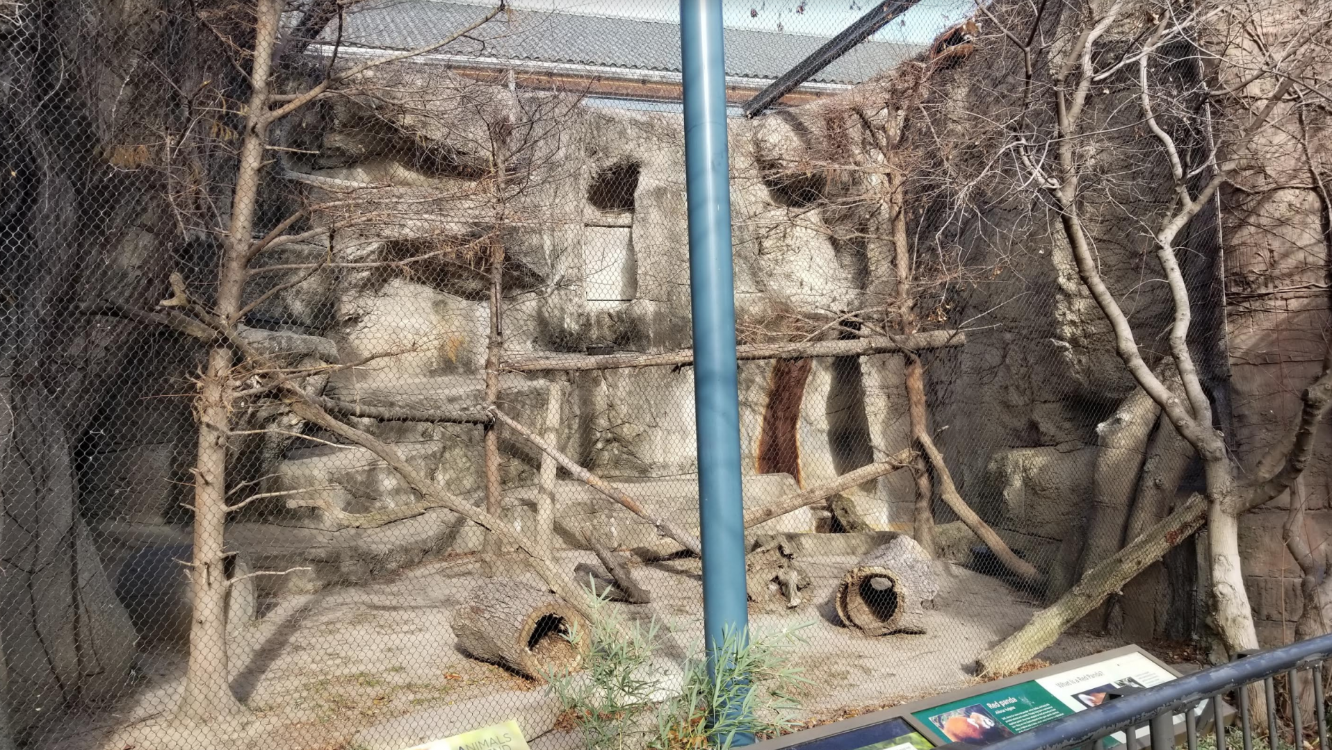 Dec. 2017 - Kolver Lion House - Red Panda Exhibit