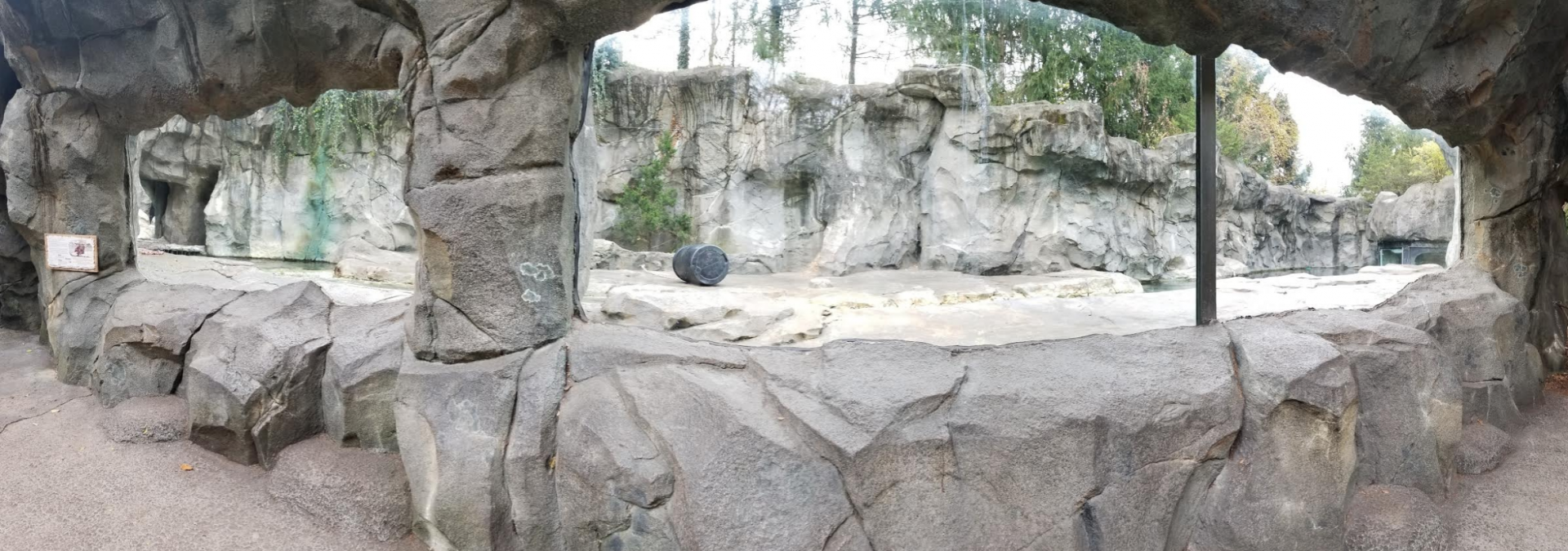 Dec. 2017 - Lords of the Arctic - Second Polar Bear Exhibit Panorama