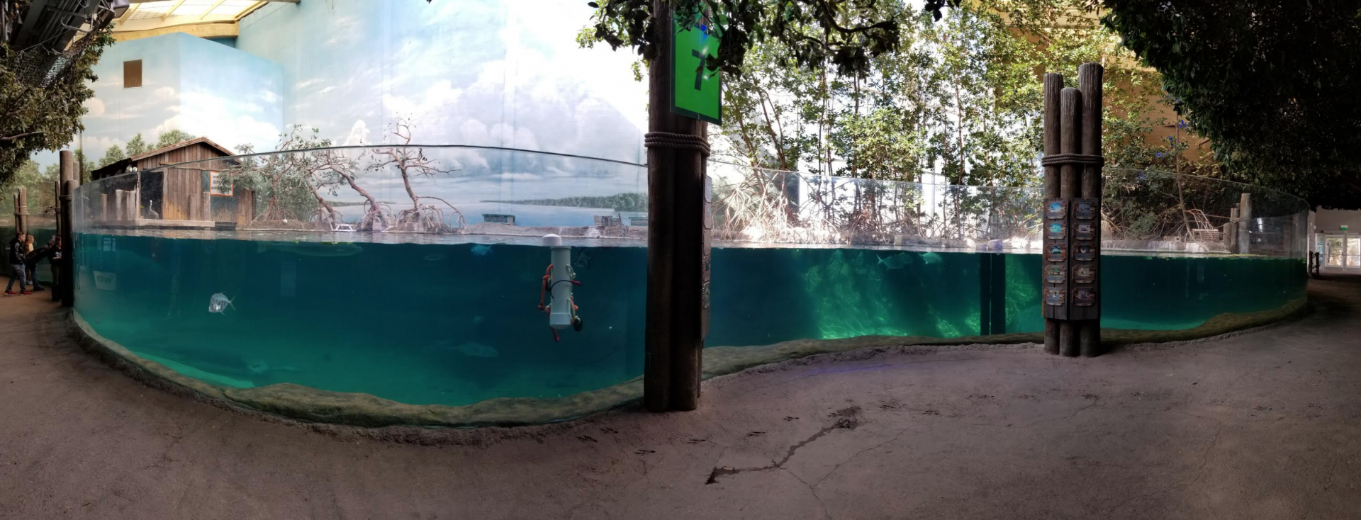 Dec. 2017 - Manatee Coast - Manatee Tank Panorama