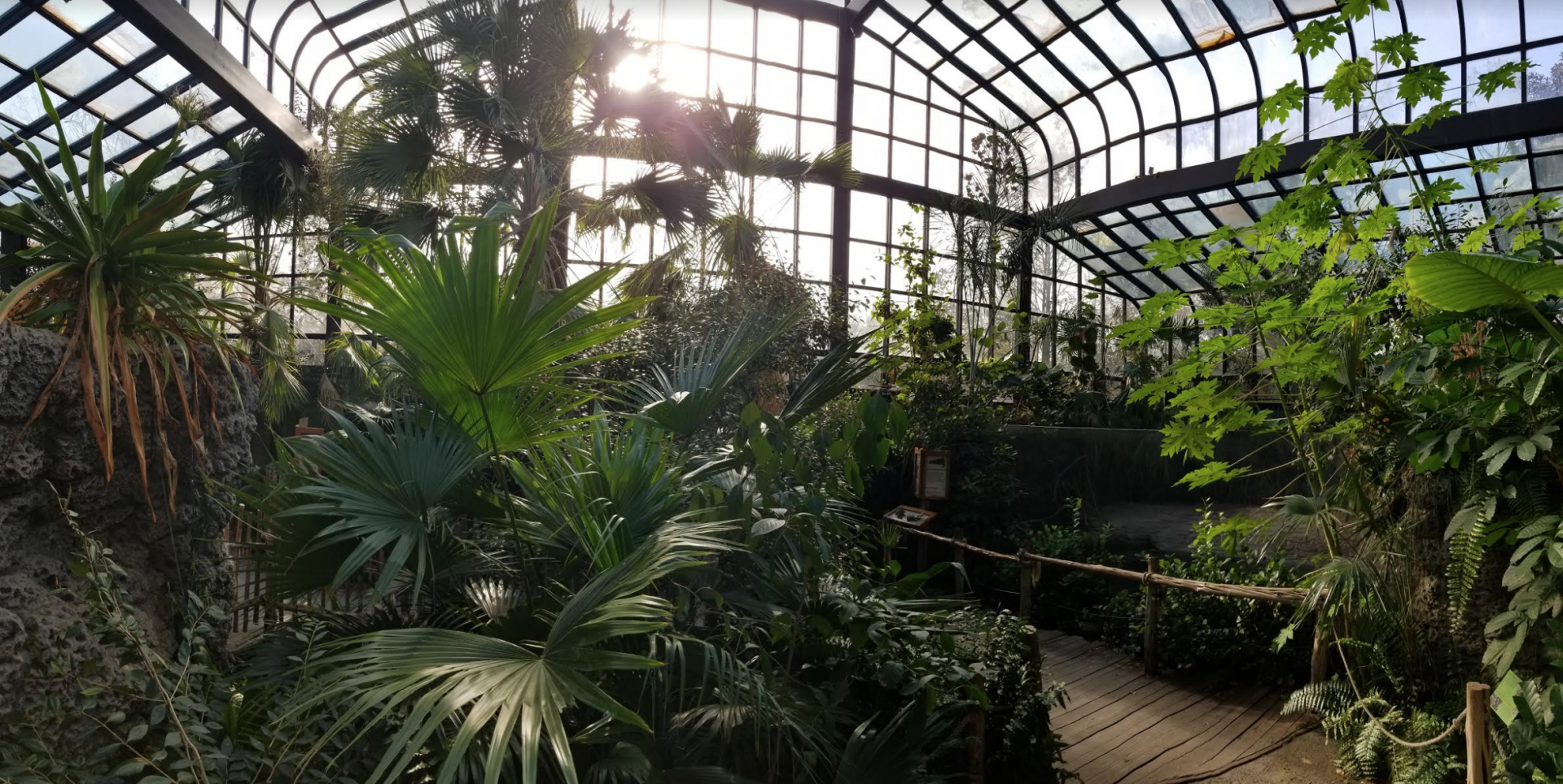 Dec. 2017 - Manatee Springs - Entrance Greenhouse Panorama