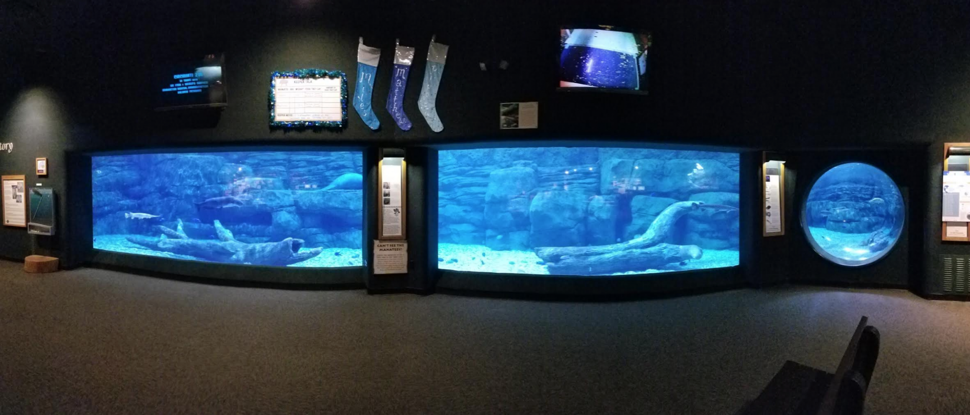 Dec. 2017 - Manatee Springs - Manatee Tank Panorama