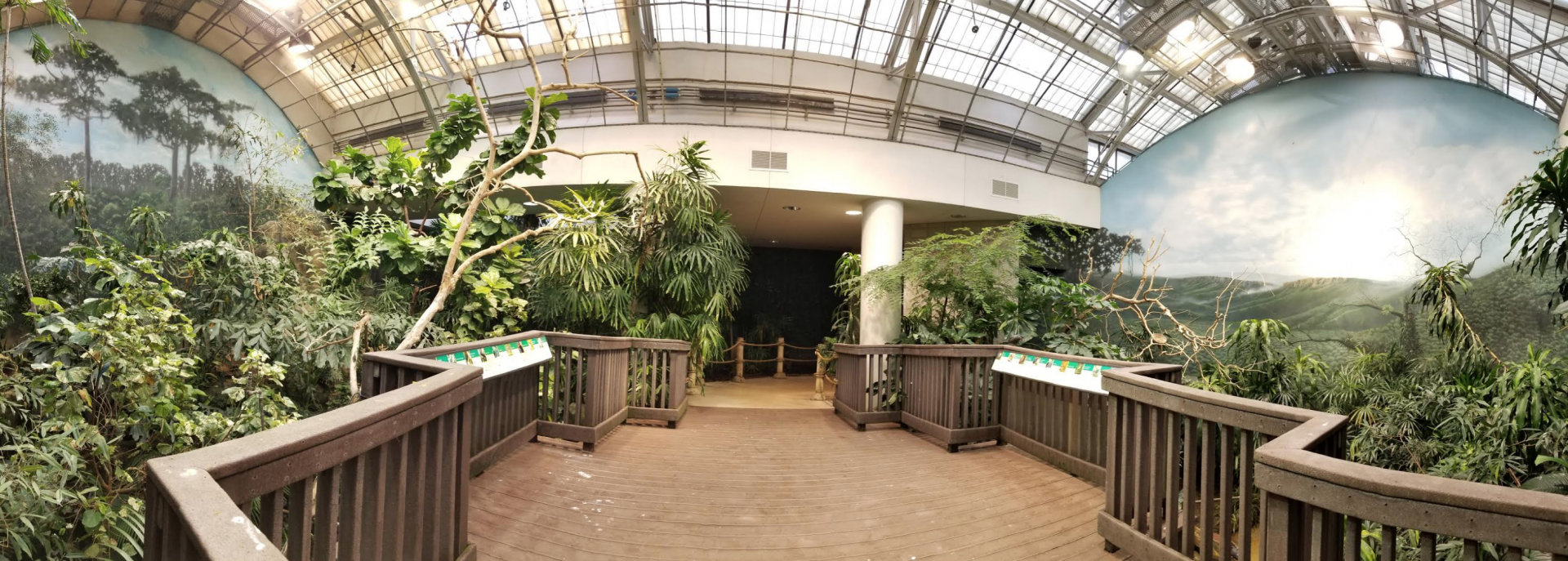 Dec. 2017 - McCormick Bird House - Tropical River Exhibit (16 Species)