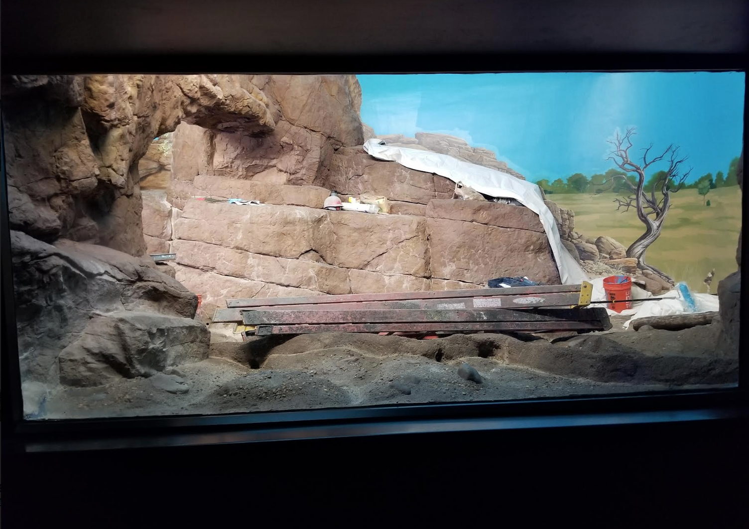 Dec. 2017 - Night Hunters - Aardwolf Exhibit (Lights On)