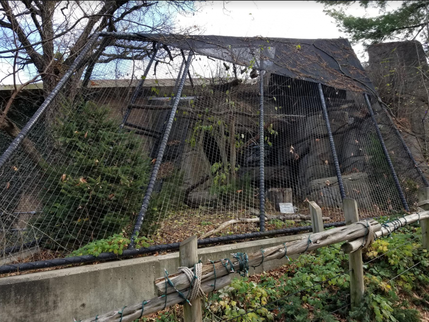 Dec. 2017 - Night Hunters - Empty Exhibit