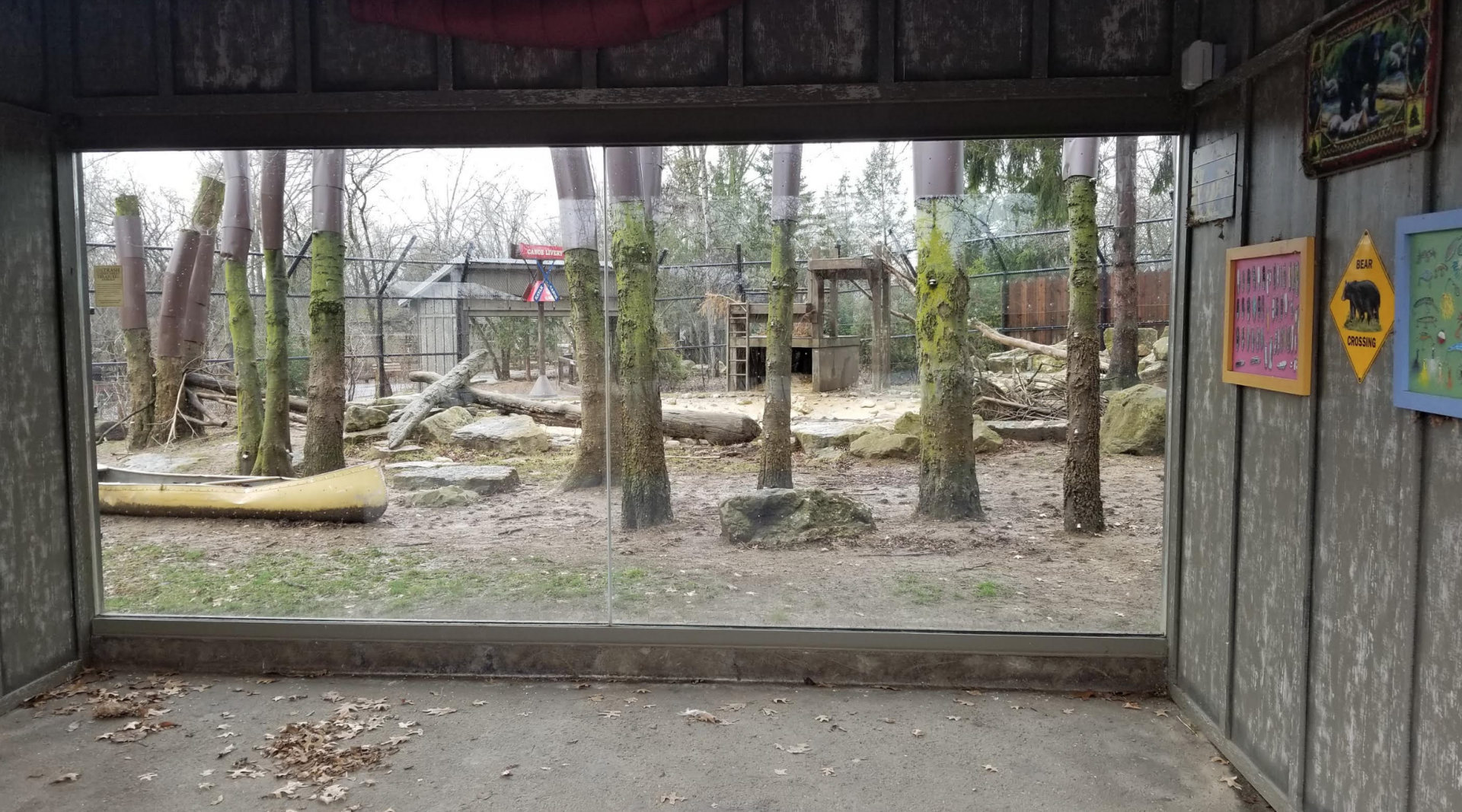 Dec. 2017 - North America - Black Bear Exhibit