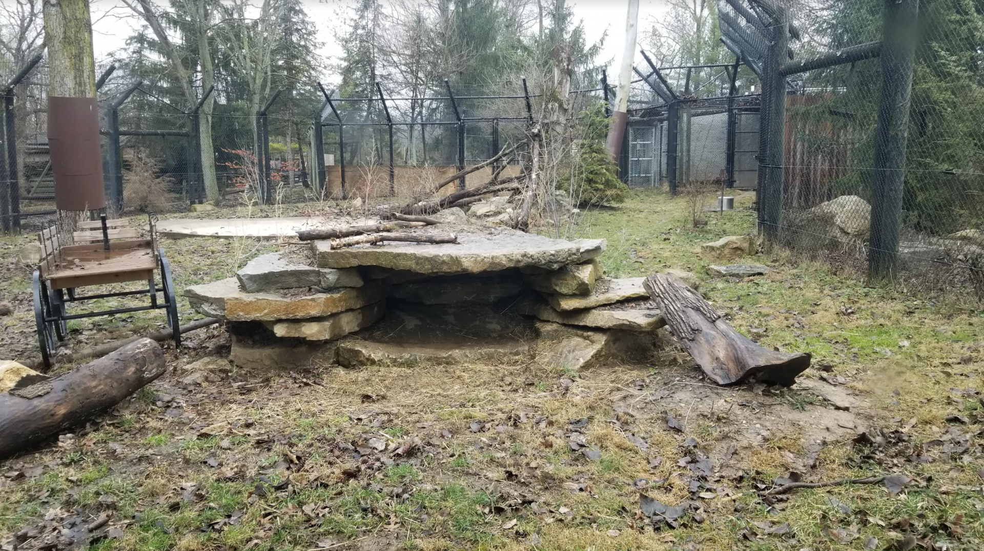Dec. 2017 - North America - Bobcat Exhibit