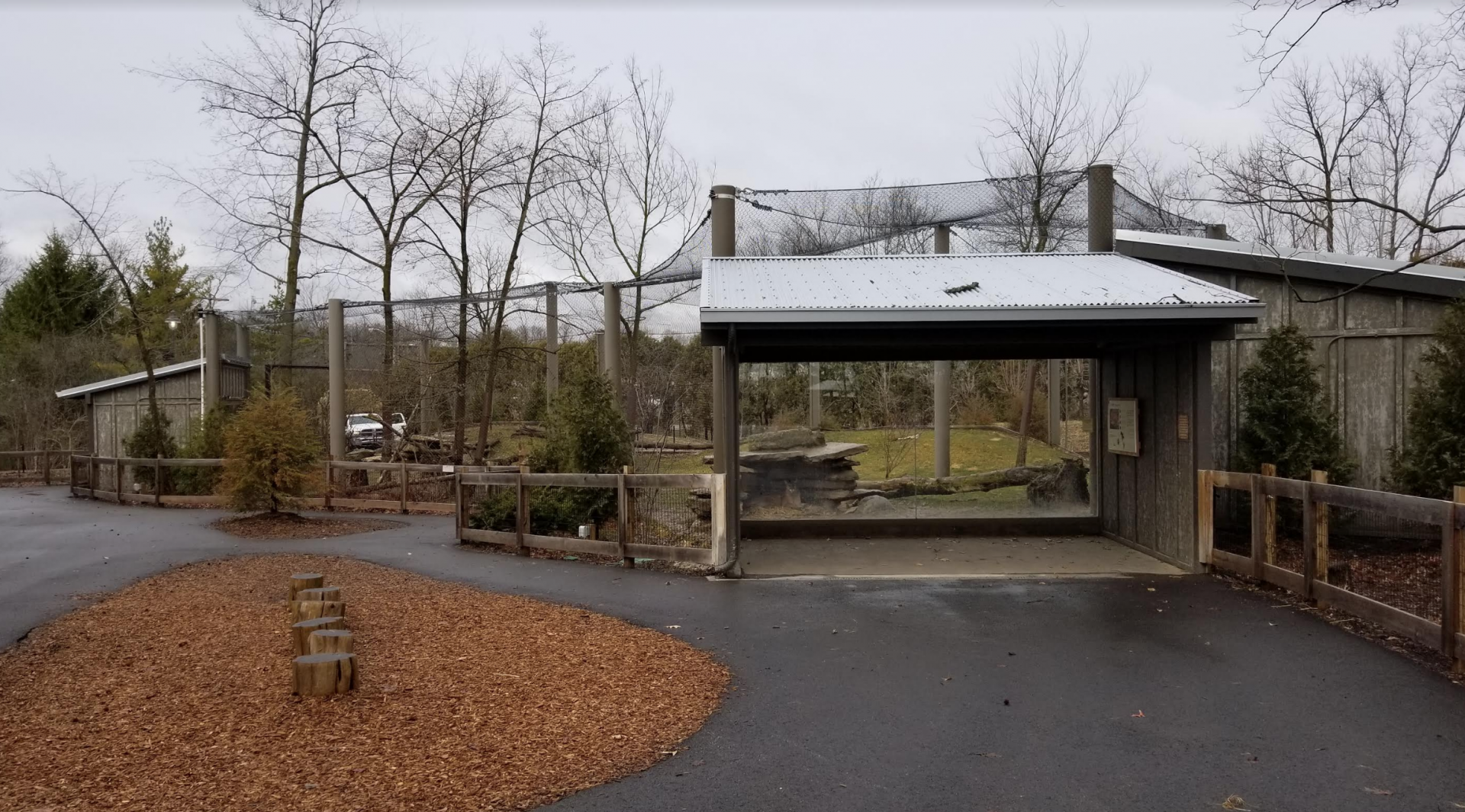 Dec. 2017 - North America - Cougar Exhibit (Newer)