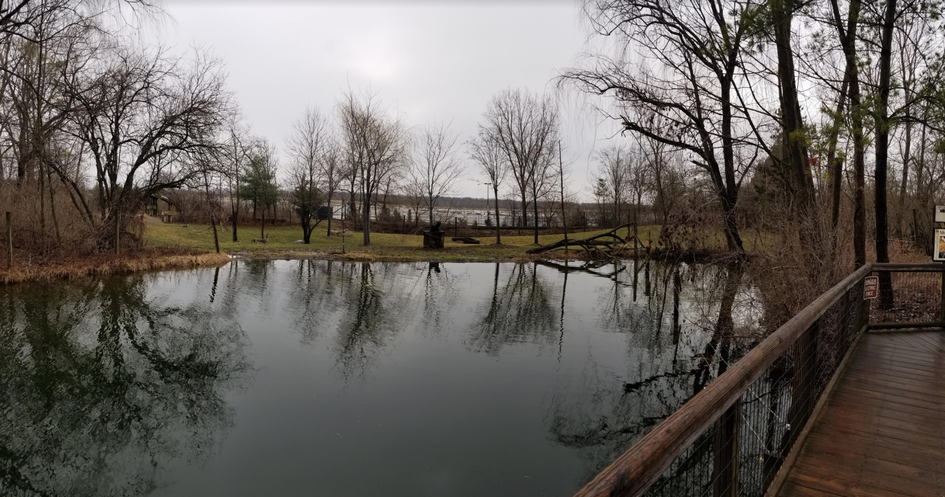 Dec. 2017 - North America - Moose Exhibit Pano
