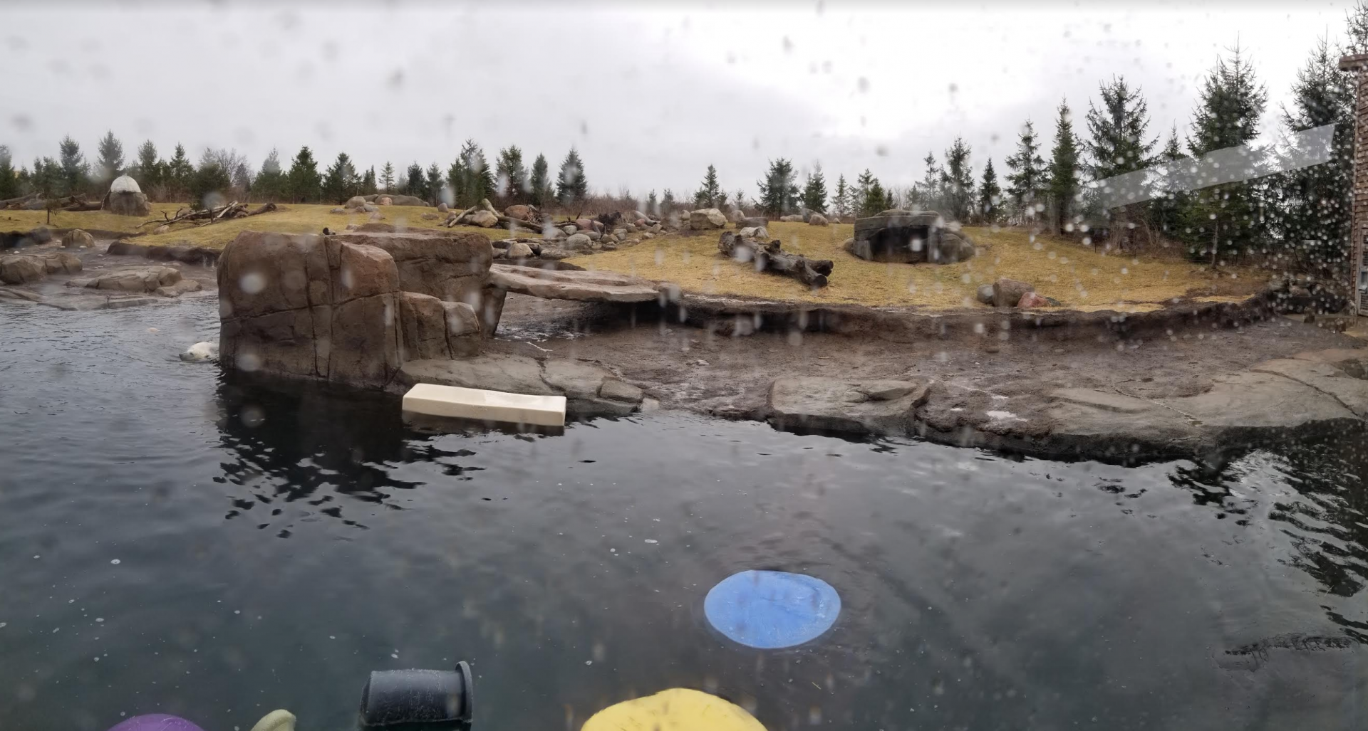 Dec. 2017 - Polar Frontier - Polar Bear Exhibit Pano (Half of It)
