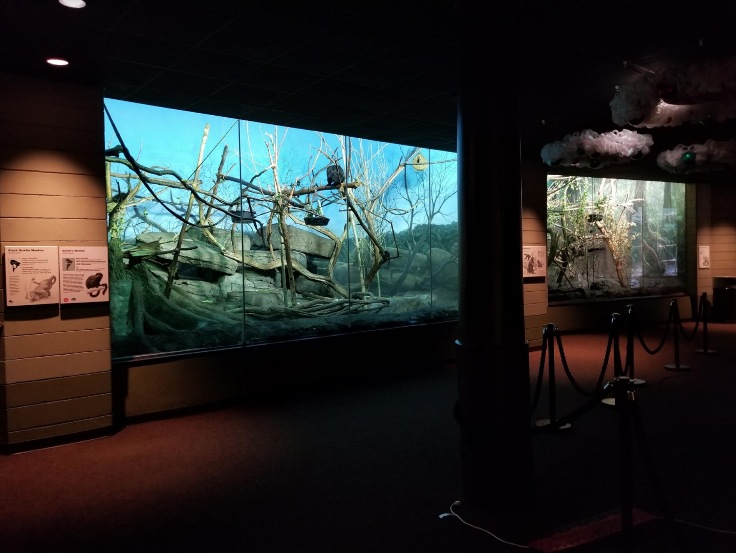 Dec. 2017 - Primate House View