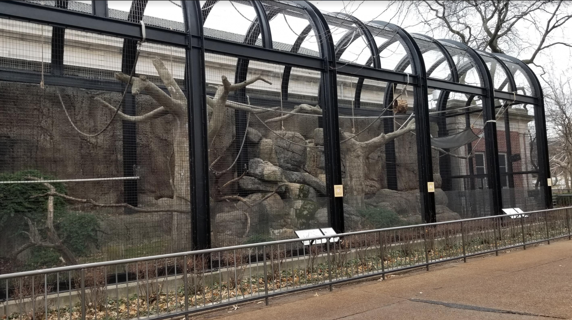 Dec. 2017 - Primate House - White-cheeked Gibbon Exhibit