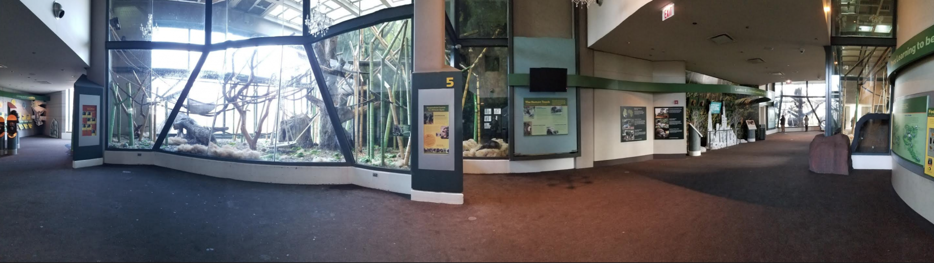 Dec. 2017 - Regenstein Center for African Apes Panorama