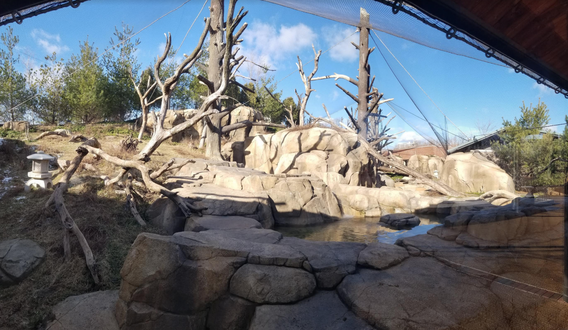 Dec. 2017 - Regenstein Macaque Forest Panorama