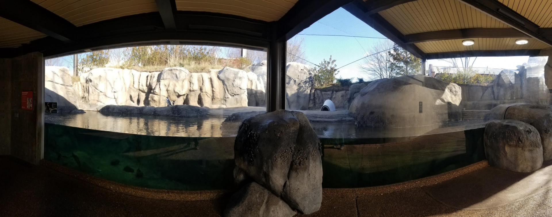 Dec. 2017 - Robert and Mayari Pritzker Penguin Cove Panorama