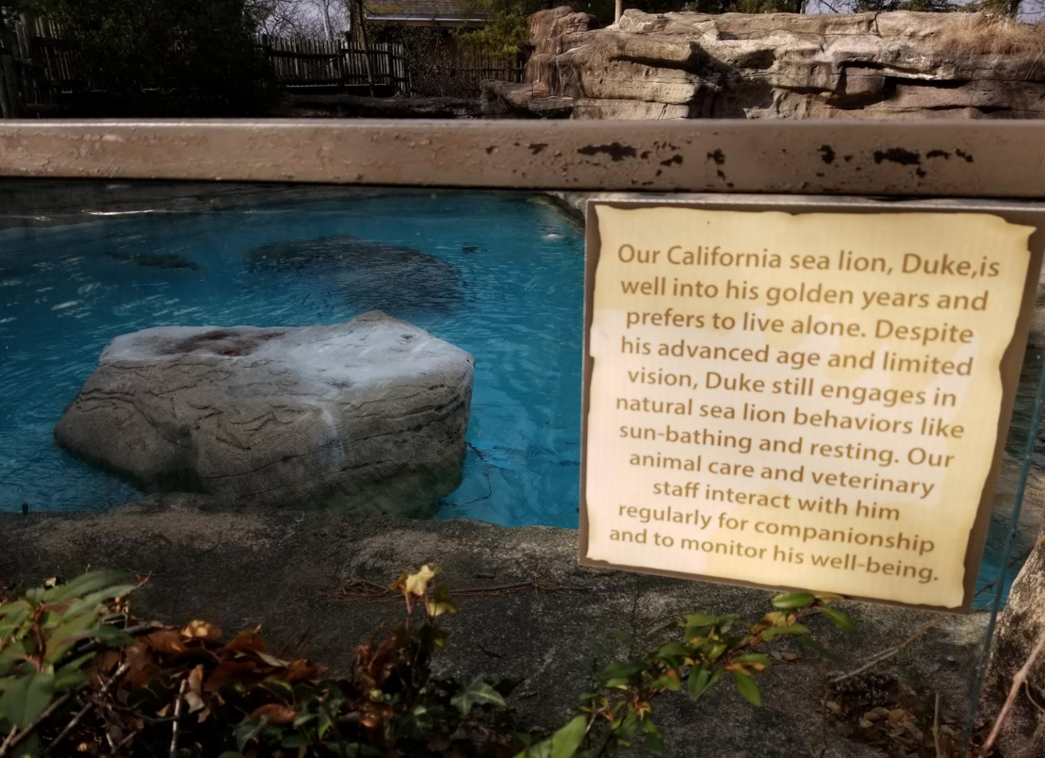 Dec. 2017 - Sea Lion Sign on Why Duke is Alone