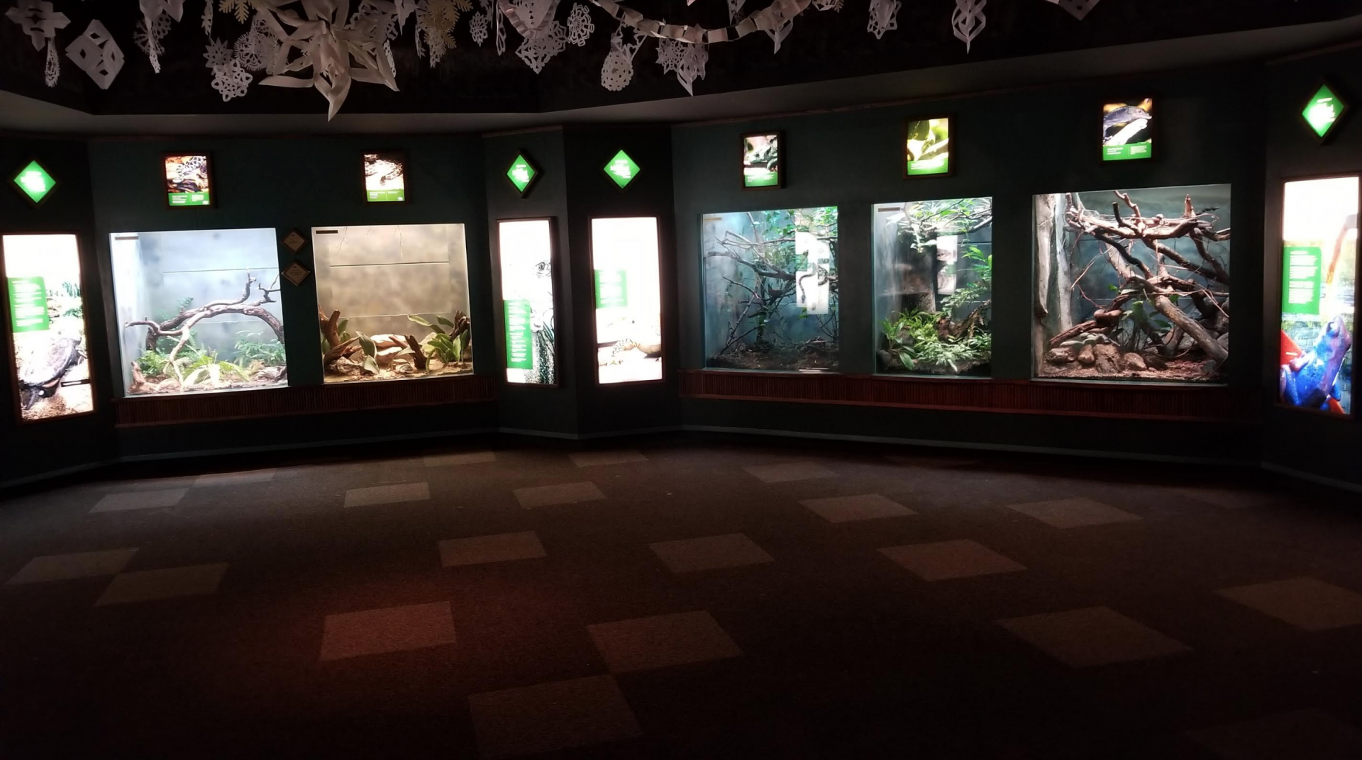Dec. 2017 - Small Mammal-Reptile House View