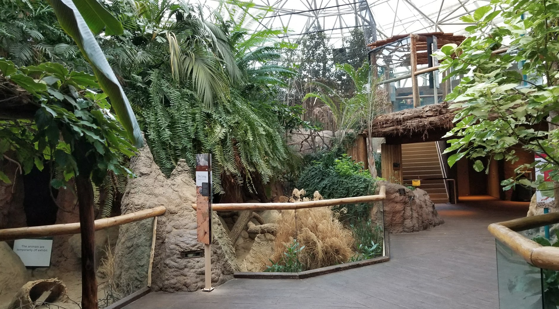 Dec. 2017 - Small Mammals - Reptile House - Atrium View