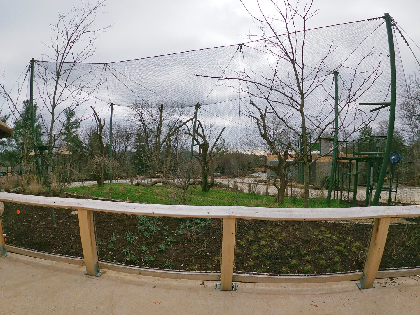 Dec. 2018 - Future Colobus Exhibit