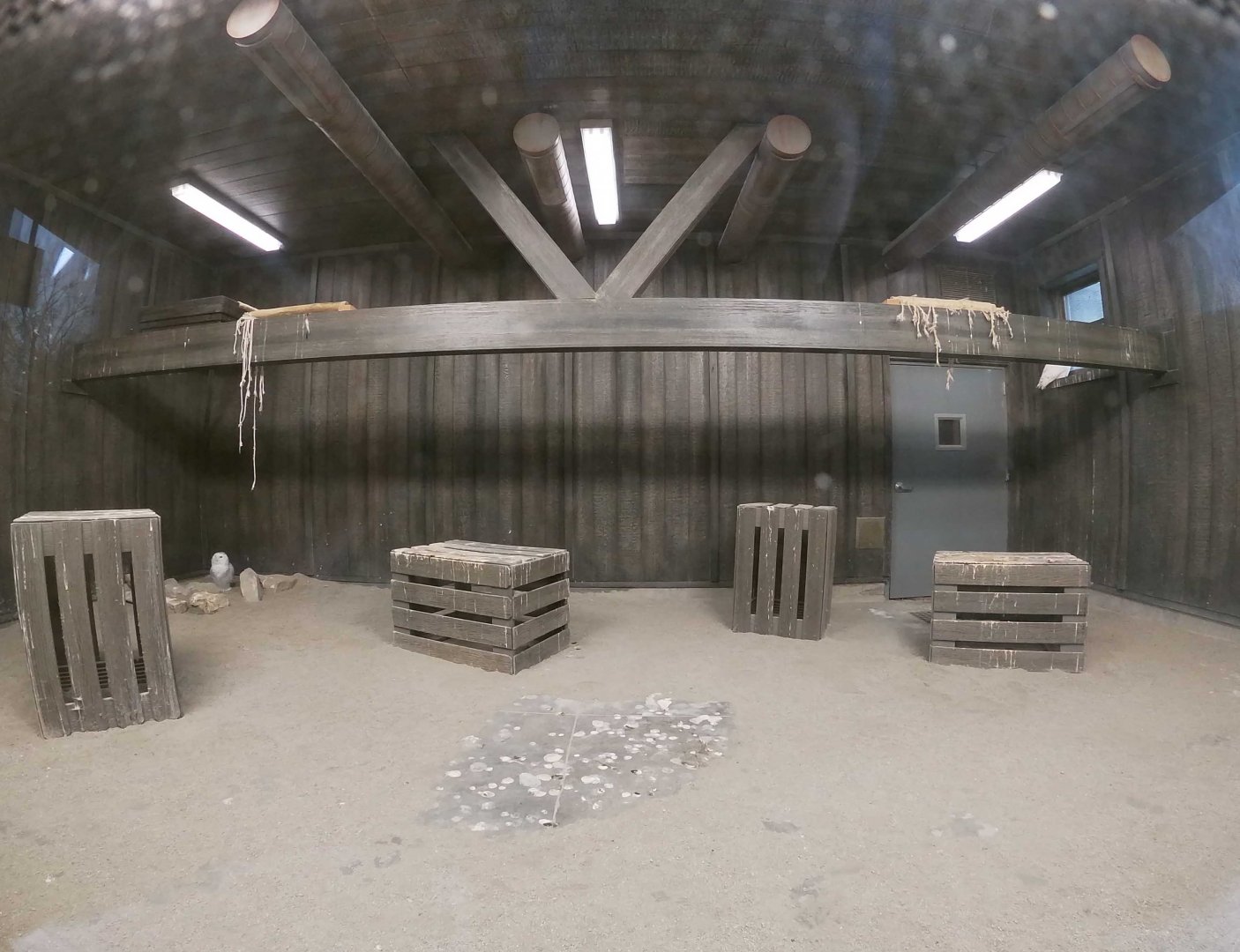 Dec. 2018 - Glacier Run - Snow Owl Exhibit