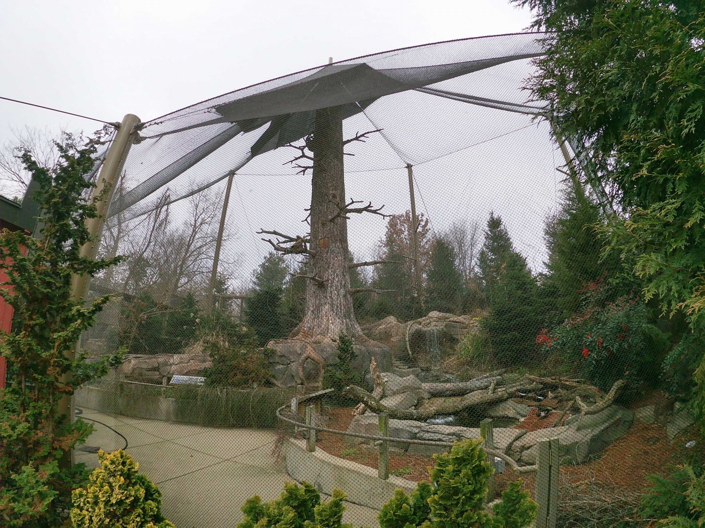 Dec. 2018 - Glacier Run - Steller's Sea Eagle + Others Aviaries