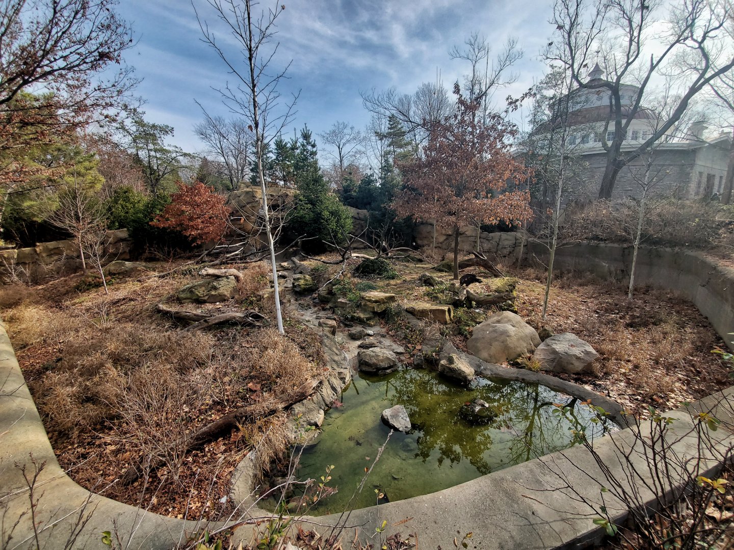 Dec. 2019 - Bald Eagle Exhibit + Reptile House