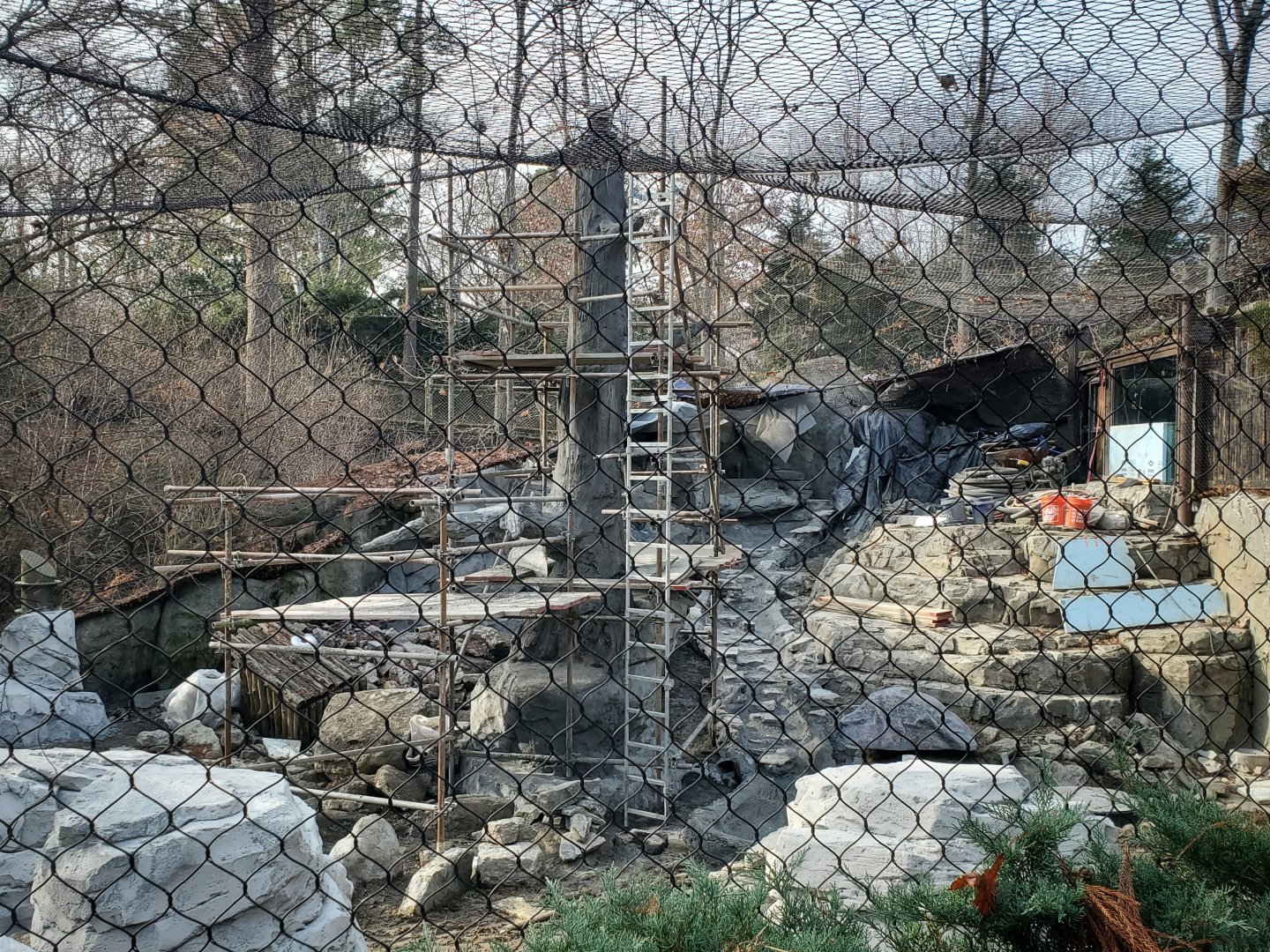 Dec. 2019 - Cat Canyon - Construction in Snow Leopard Exhibit