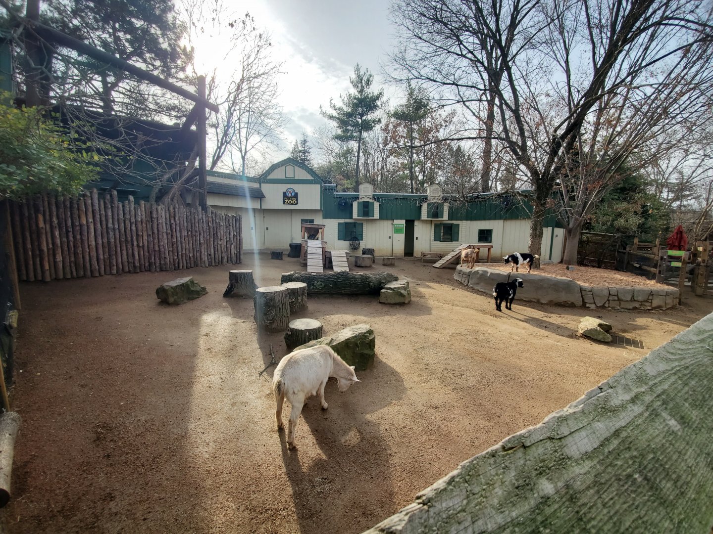 Dec. 2019 - Children's Zoo - Petting Zoo