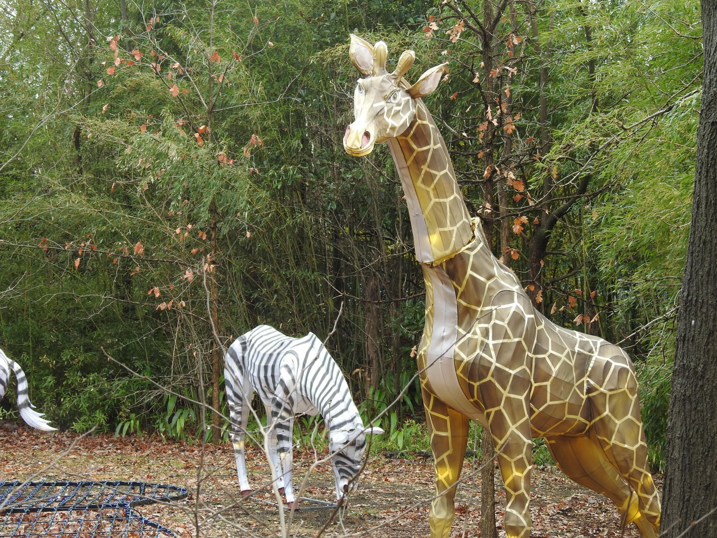 Dec 2019 Giraffe, Zebra sculptures