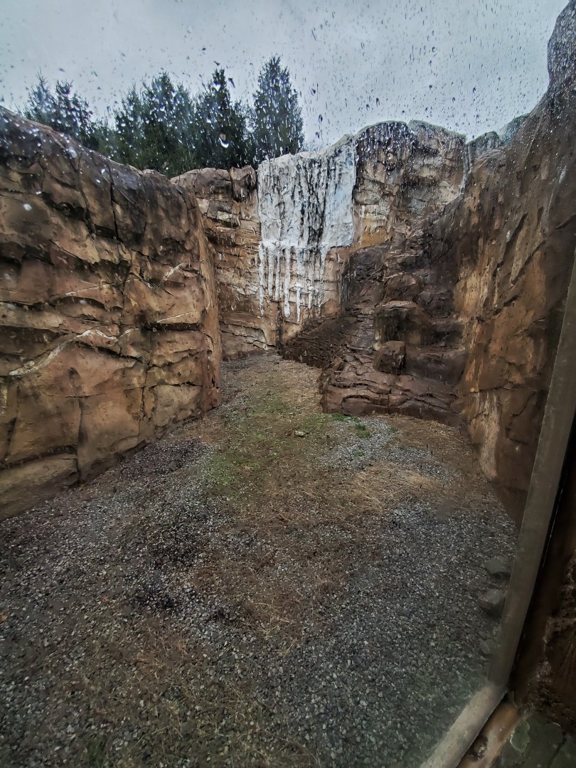 Dec. 2019 - Glacier Run - Polar/Brown Bear Outdoor Exhibit Accessible Moat