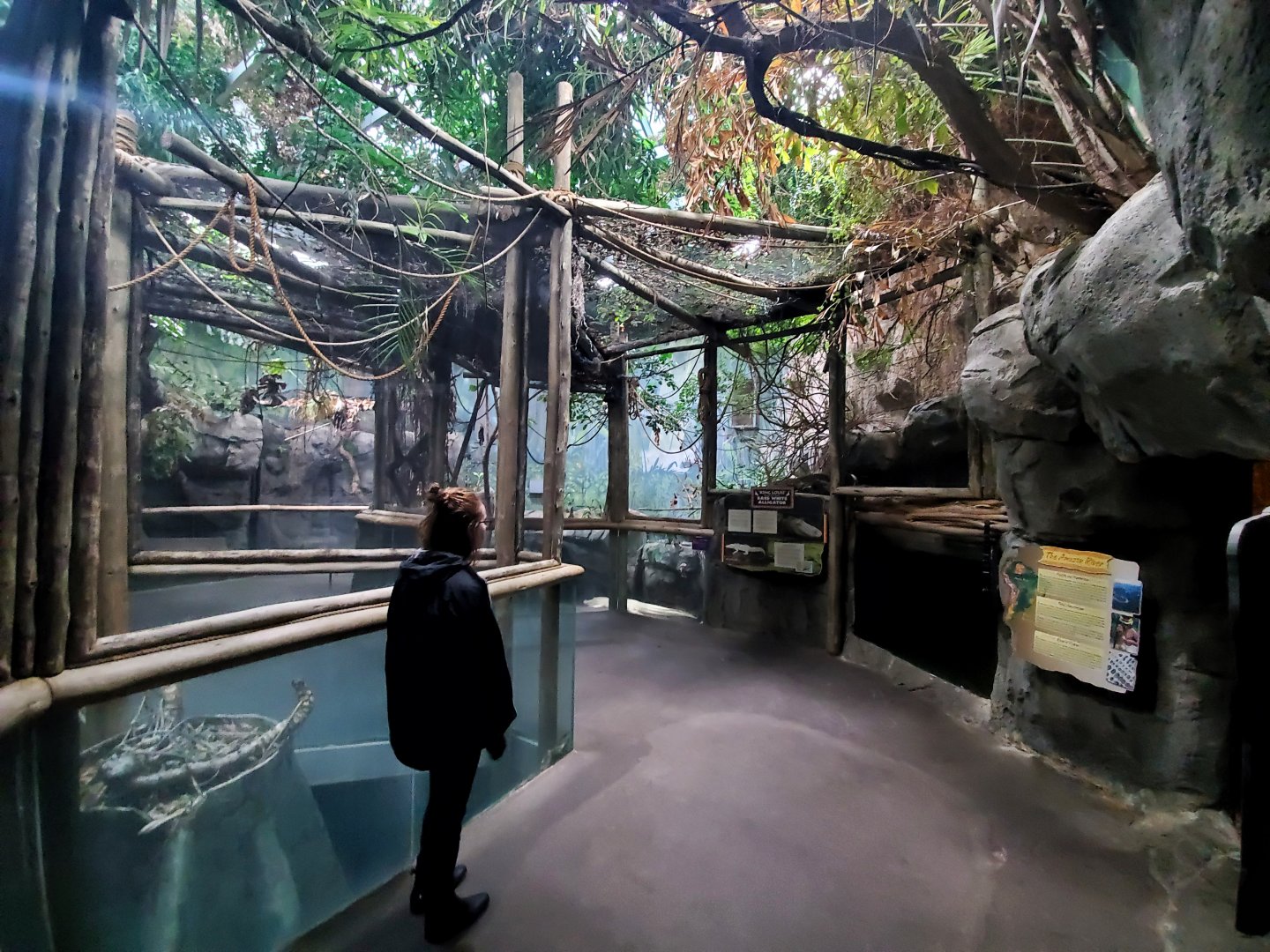 Dec. 2019 - HerpAquarium - The King Louie Exhibit