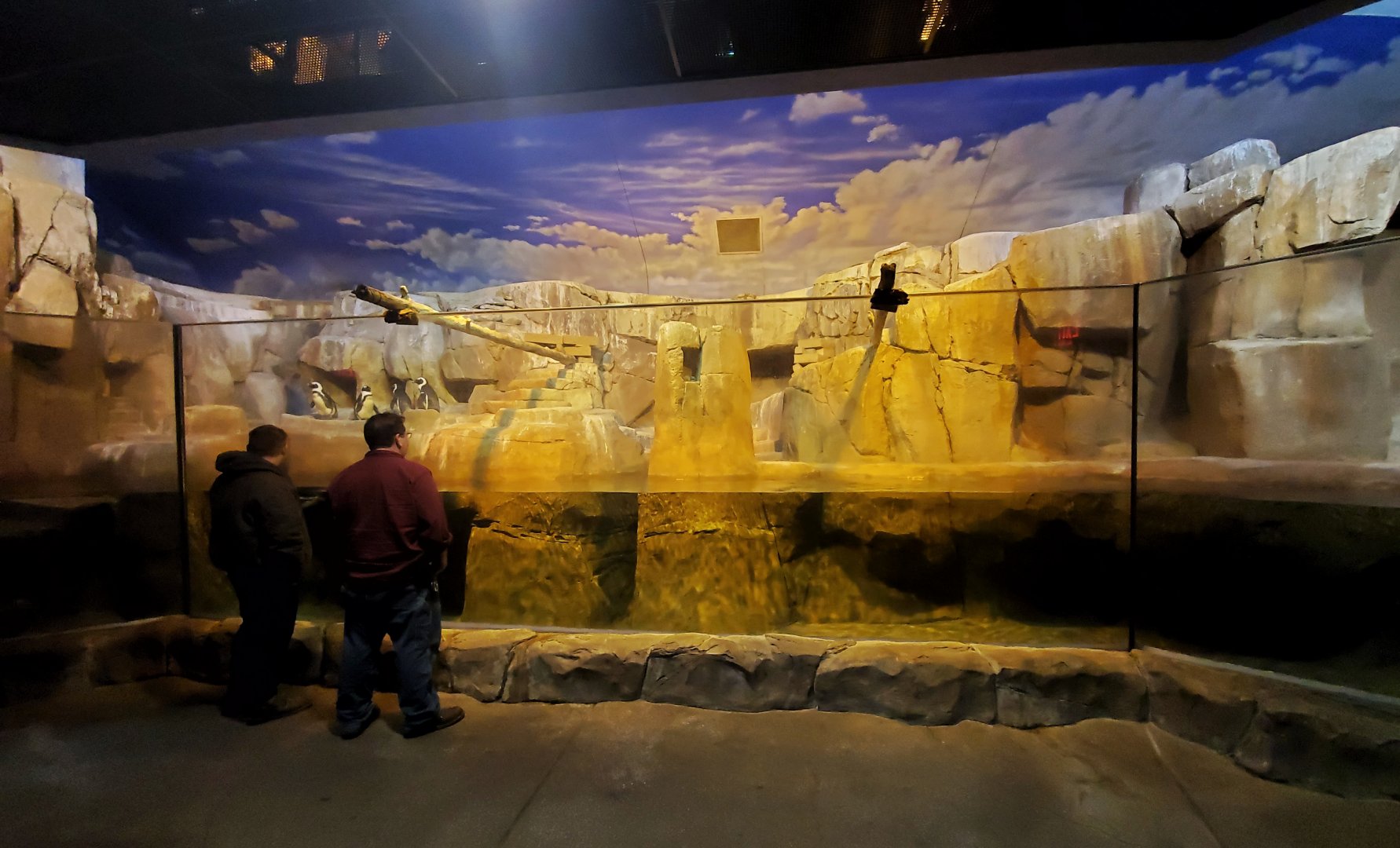 Dec. 2019 - Islands - Islands Pavilion - Penguin Sea Cliffs (Newly Reopened)