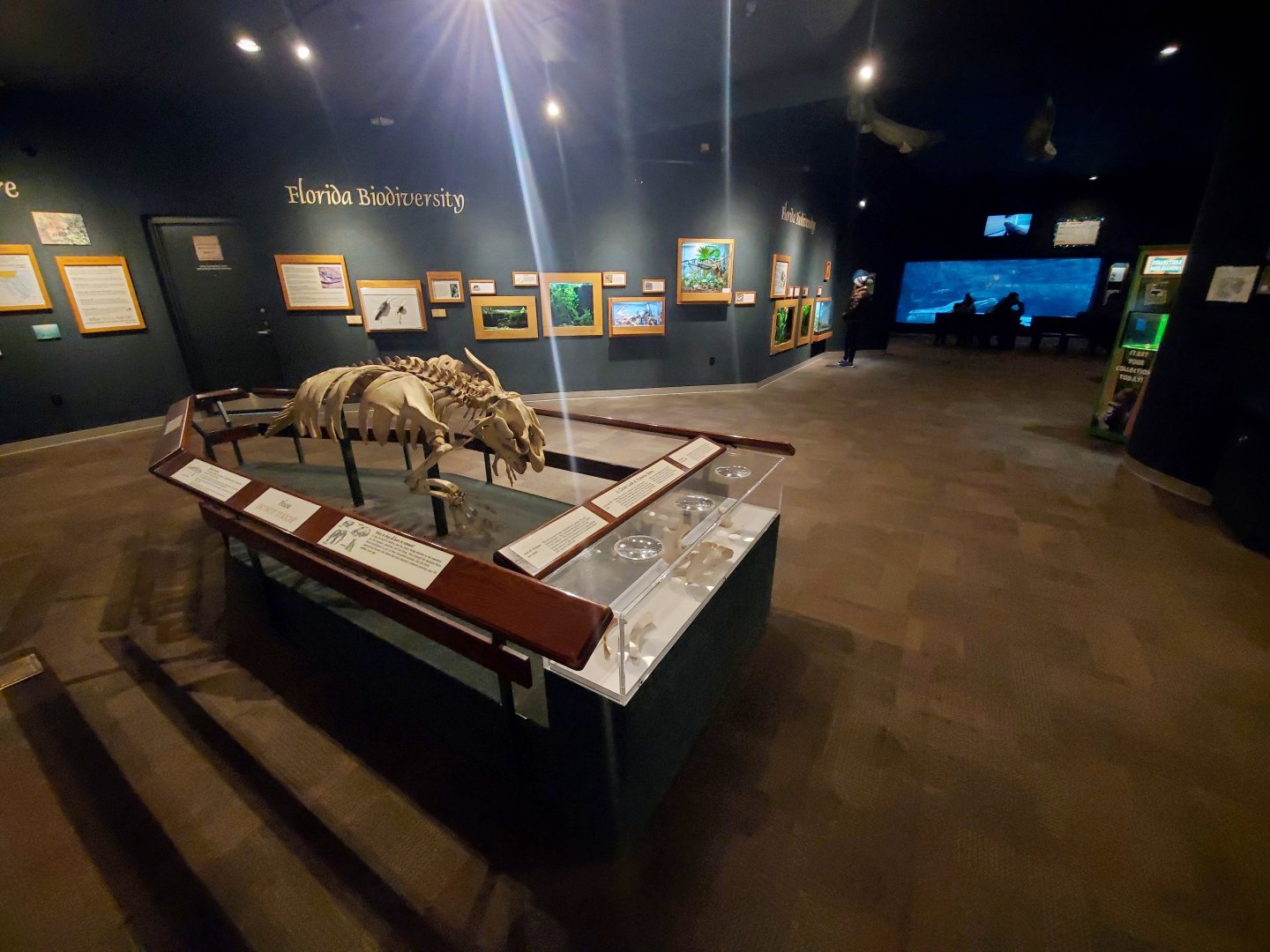 Dec. 2019 - Manatee Springs - Educational Area