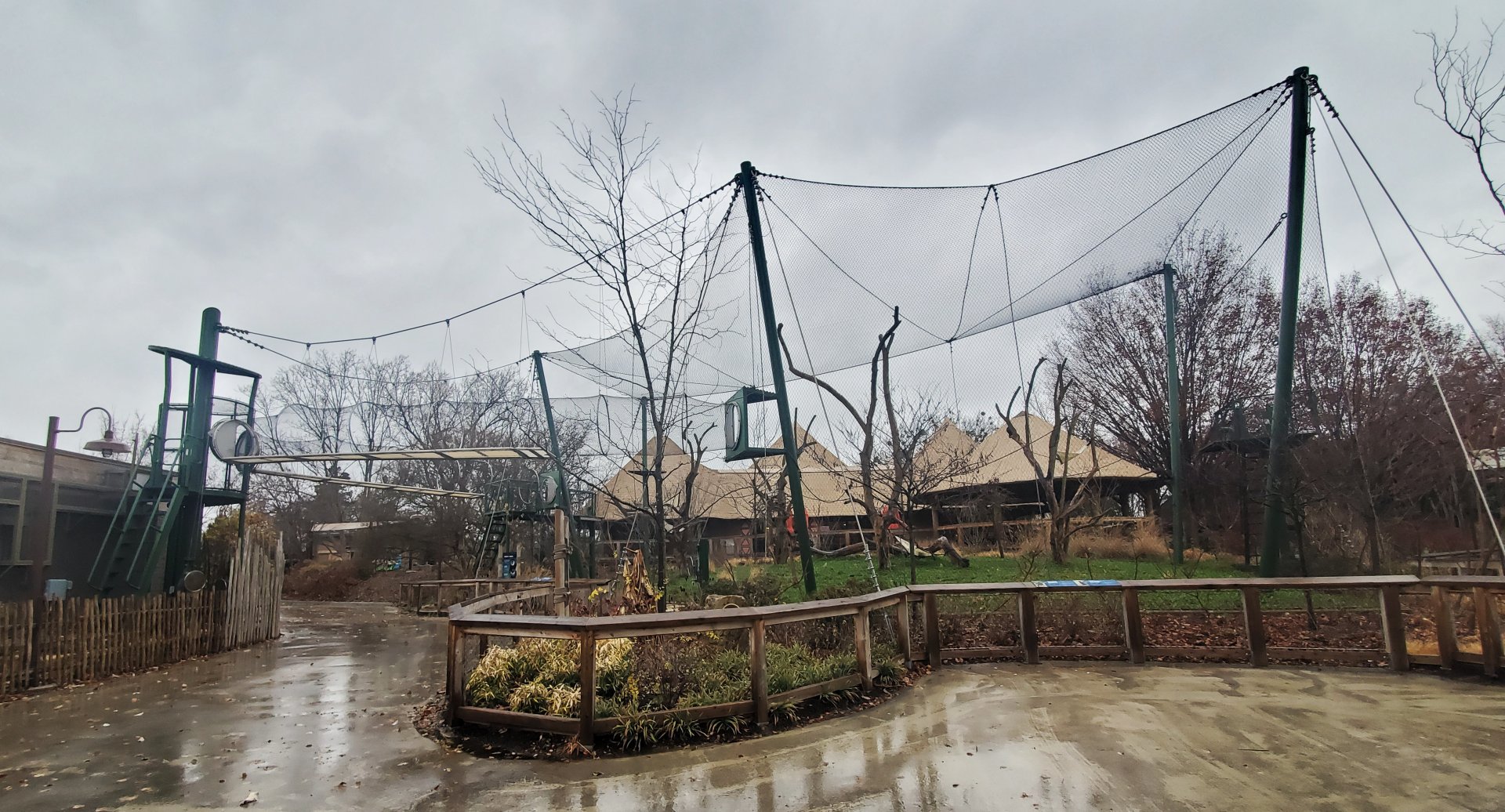 Dec. 2019 - New! Colobus Crossing