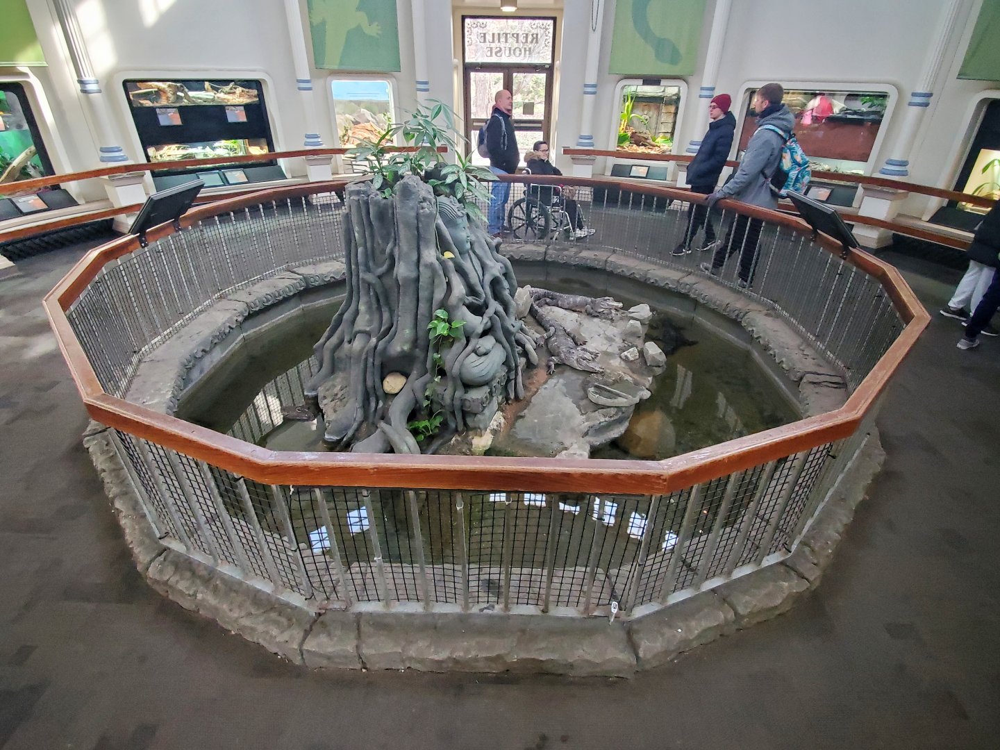 Dec. 2019 - Reptile House - Chinese Alligator Exhibit