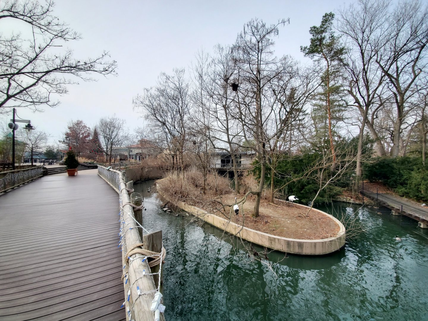 Dec. 2019 - Swan Lake - Red-crowned Crane Island
