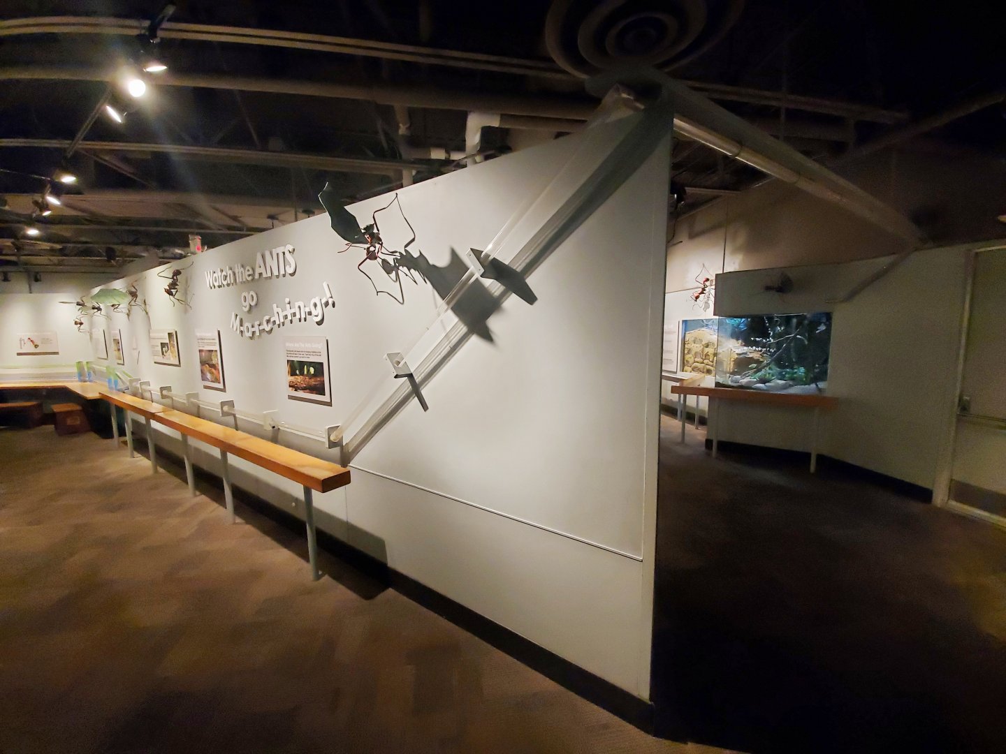 Dec. 2019 - World of the Insect - Leaf cutter Ant Exhibit (Middle Part)