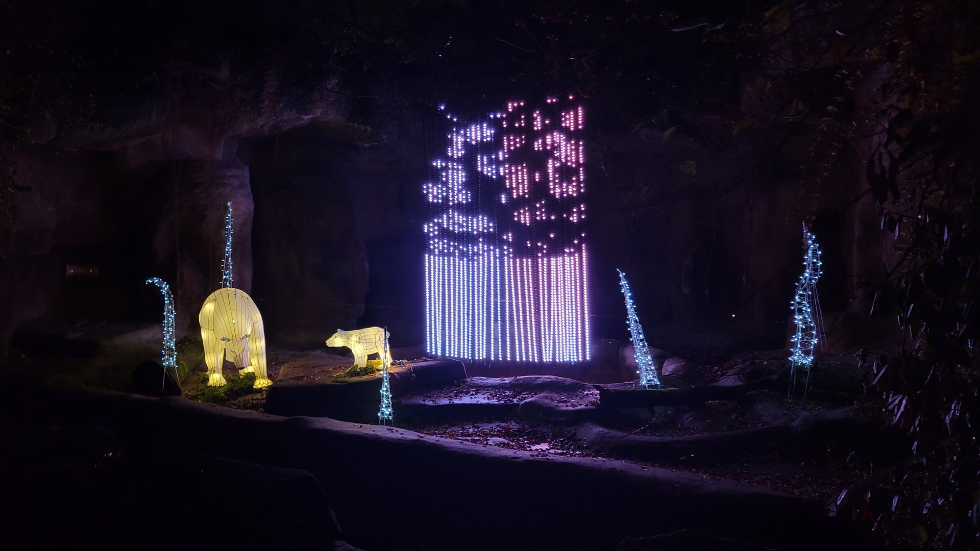 Dec. 2021 - Bear Hill - Former Black Bear Exhibit