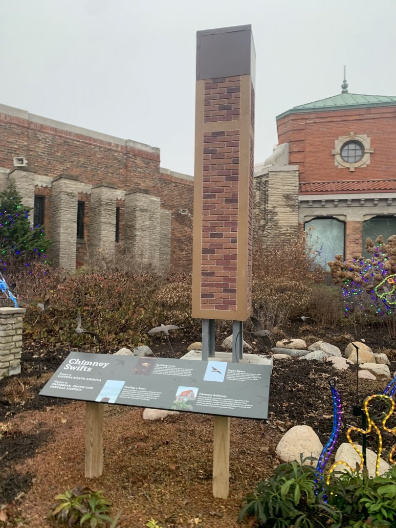 Dec. 2021- Chimney swift display