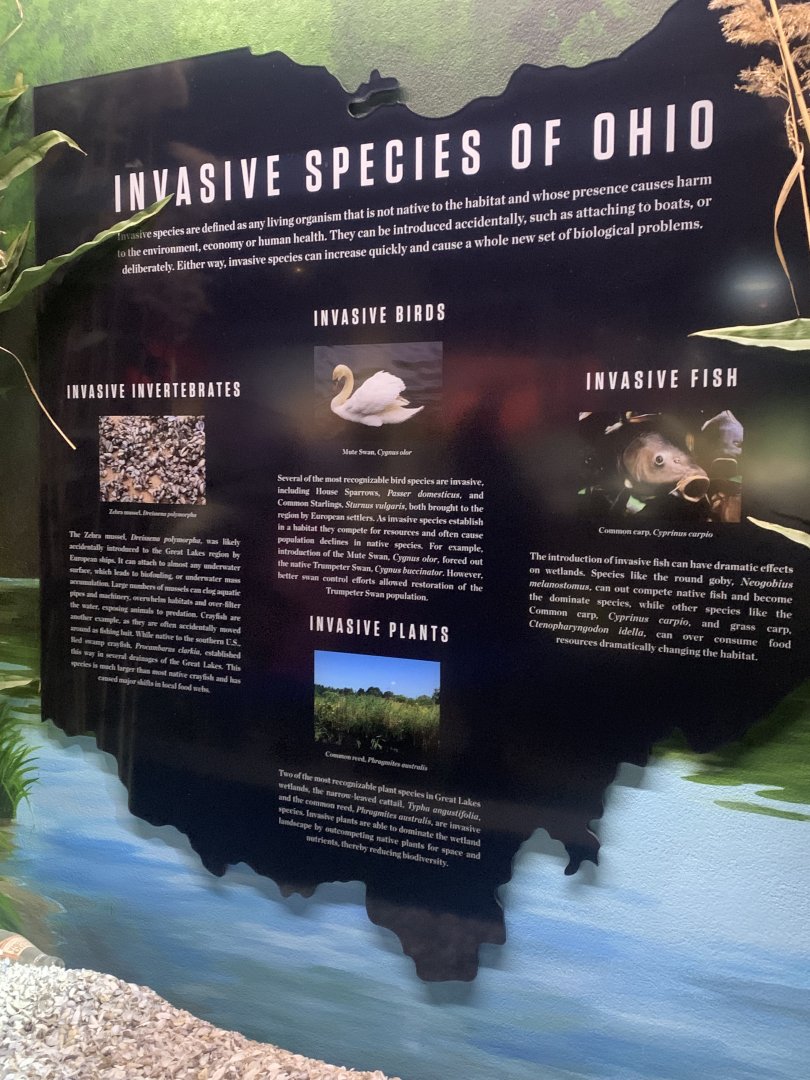 Dec. 2021- Invasive species informational sign