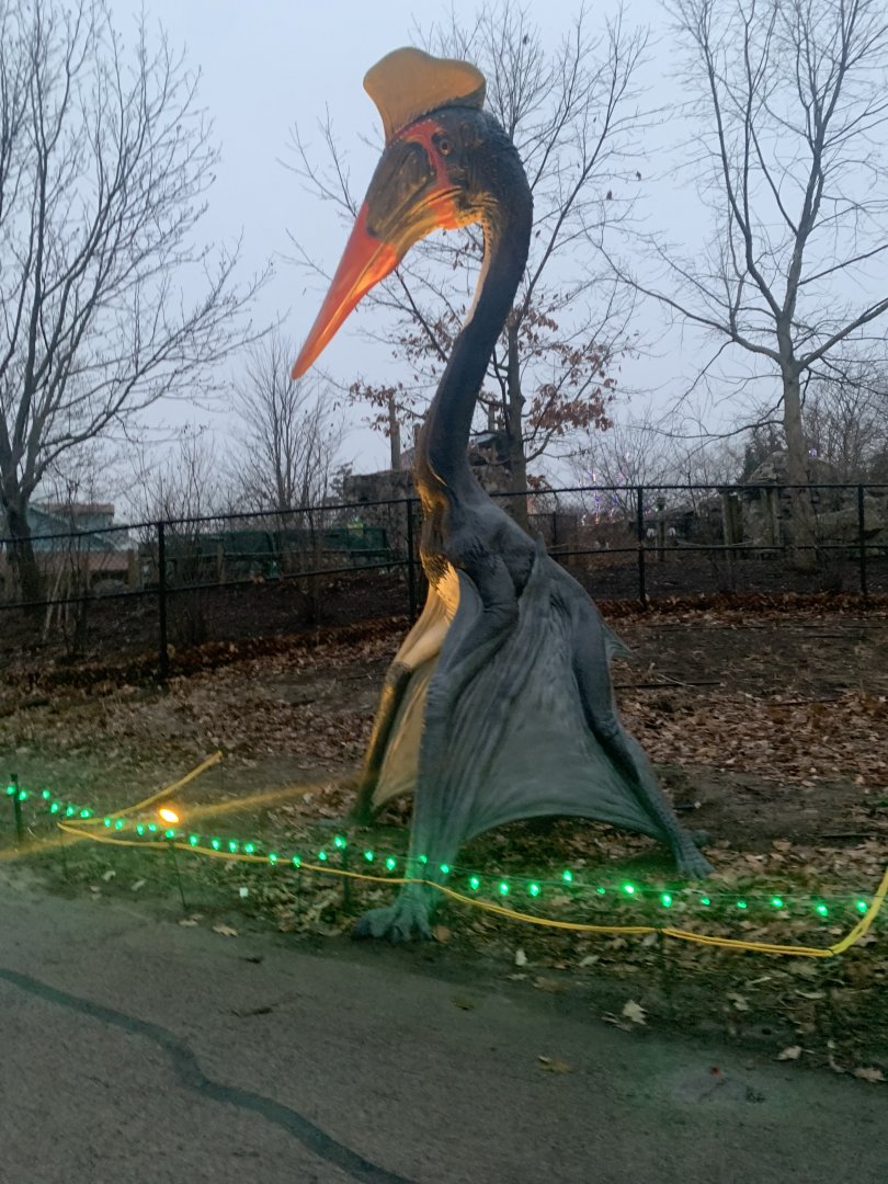 Dec. 2021- Quetzalcoatlus statue