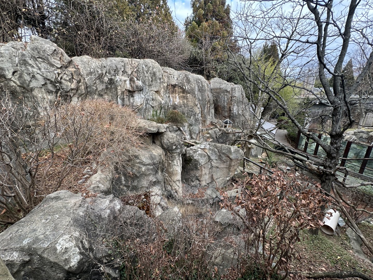 Dec. 2023 - Asia Trail - Red Panda Enclosure