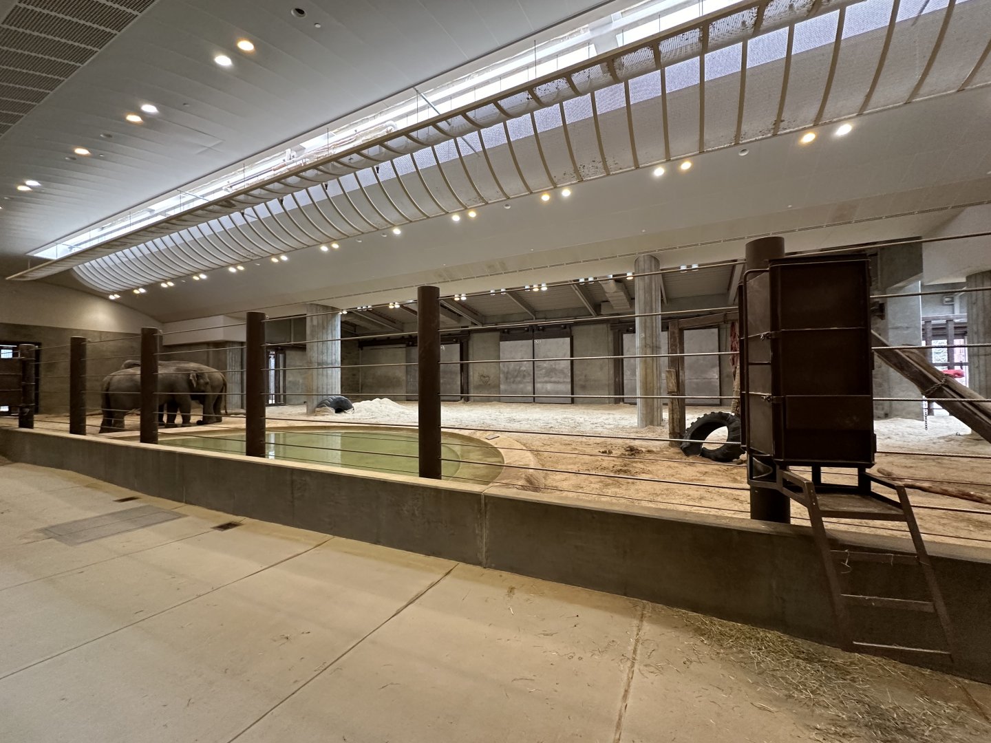 Dec. 2023 - Elephant Community Center - Interior