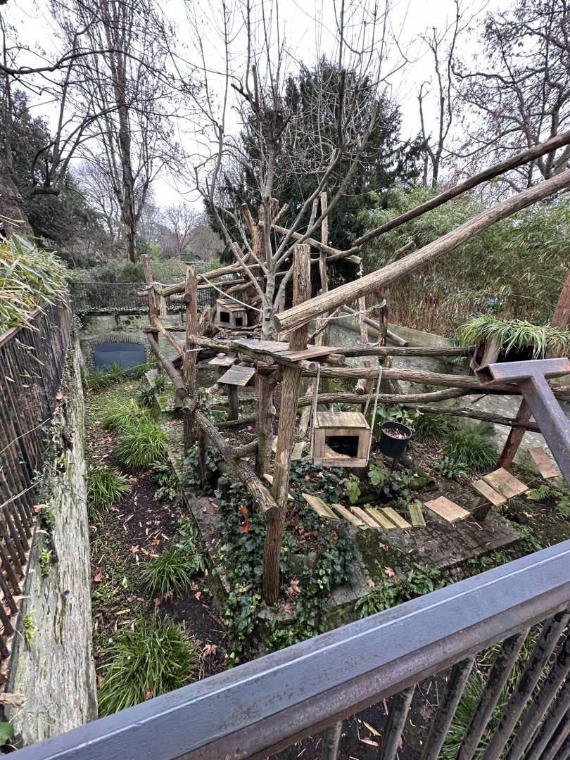 Dec. 2024 - Binturong Pit