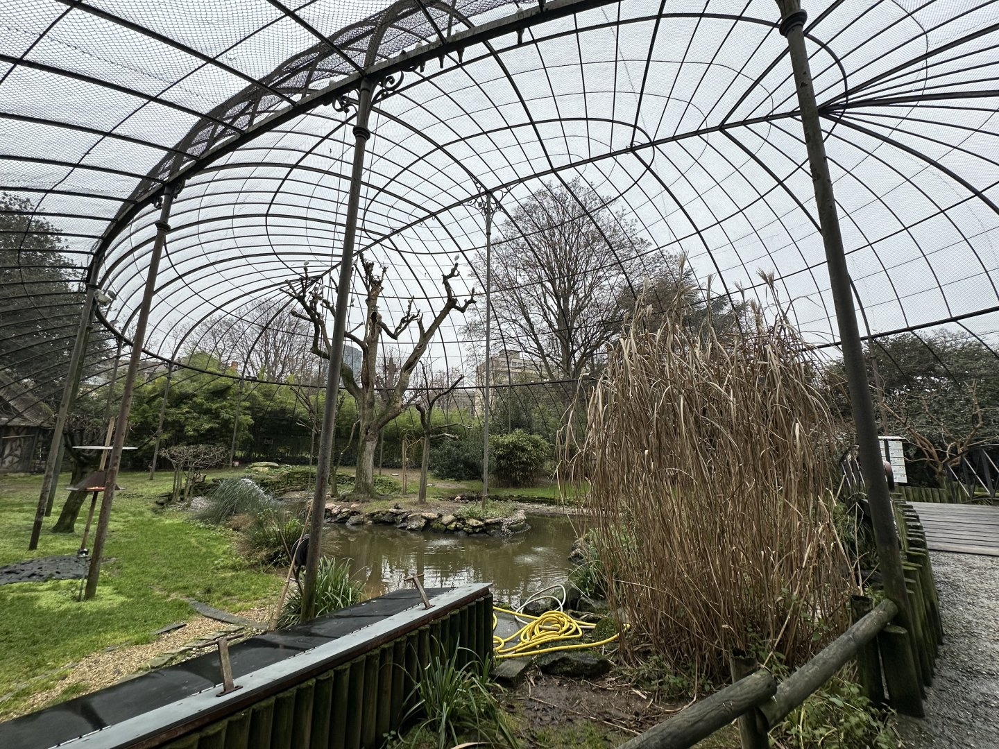 Dec. 2024 - Grand Voliere (Aviary)