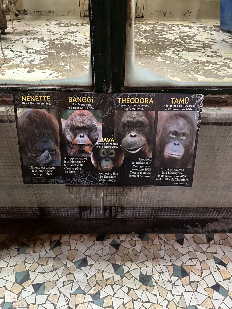 Dec. 2024 - Individual Orangutan Signage