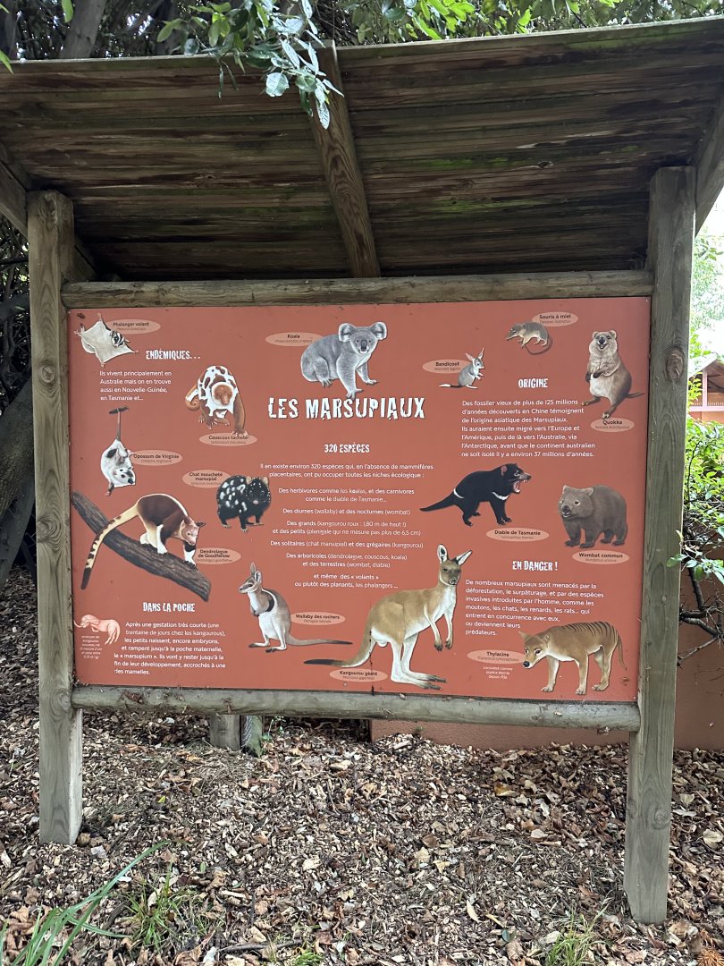 Dec. 2024 - Interesting Signage about Marsupials