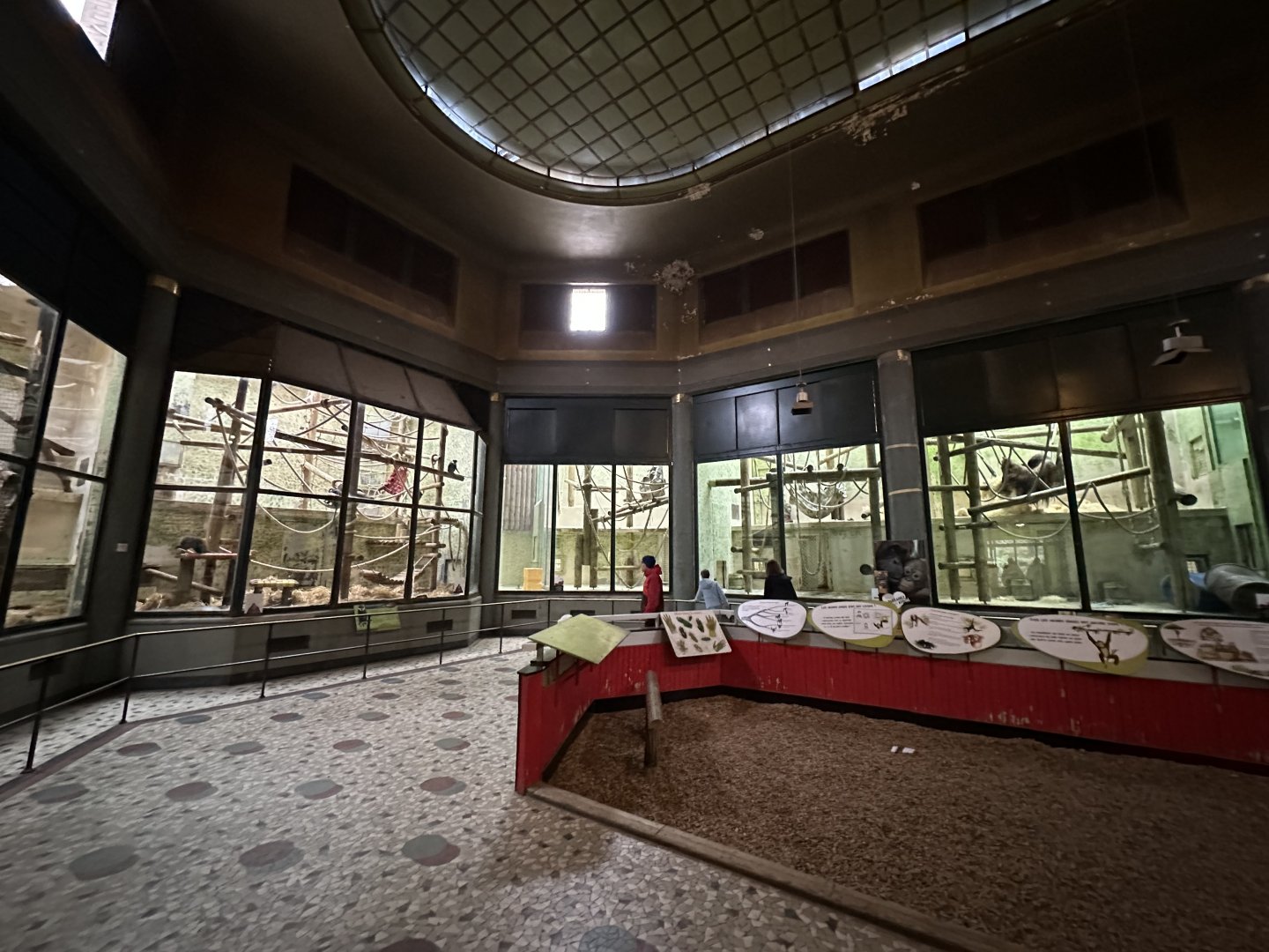 Dec. 2024 - Interior of the Singerie (Primate House)